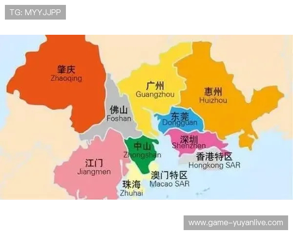 广州篮球队的崛起之路：全国锦标赛背后的奋斗与坚持